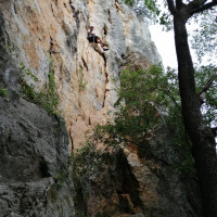 Foto 3 - Kletterpartner in gesucht von Halle ueber Fels bis Alpin