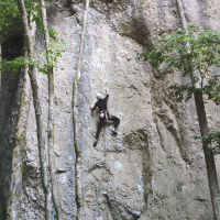 Foto 1 - Suche ambitionierte KletterpartnerInnen fuer regelmae iges Training Halle Fels in Erlangen 