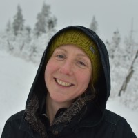 Foto 1 - Kletternpartner in gesucht